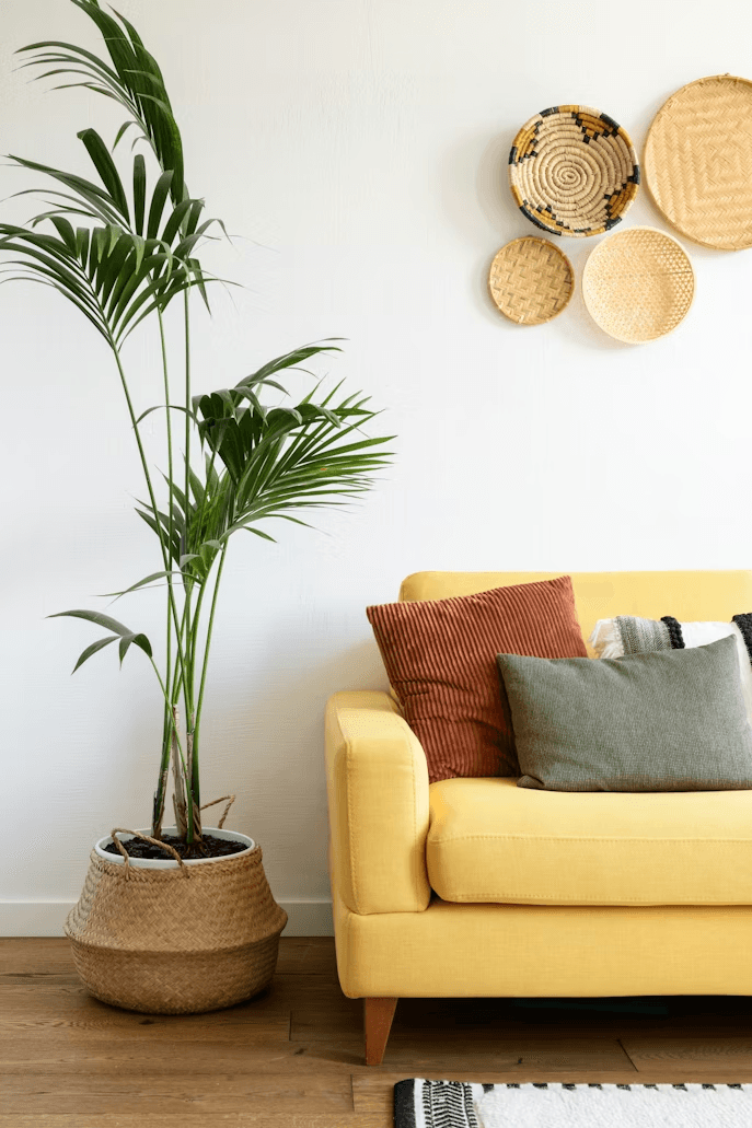 Streamline Refinance (FHA/VA)